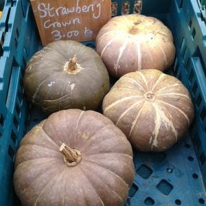 Strawberry crown kışlık kabak tohumu winter squash