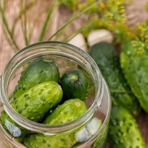 İnce kabuklu turşuluk salatalık tohumu national pickling