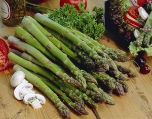 Kuşkonmaz tohumu connovers colossal asparagus officinallis ödüllü