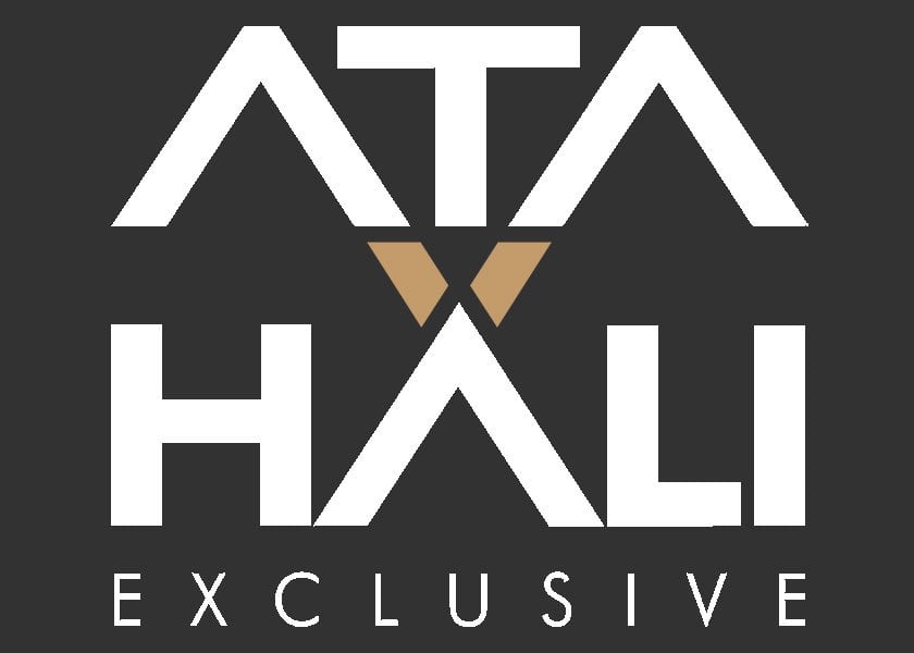 HİNT KİLİMİ IC-12192 MULTİ-ATA HALI 120X180 | ATA HALI
