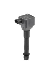0986221119 - Ateşleme Bobini (ZSKCOMPACTCOIL1X1)