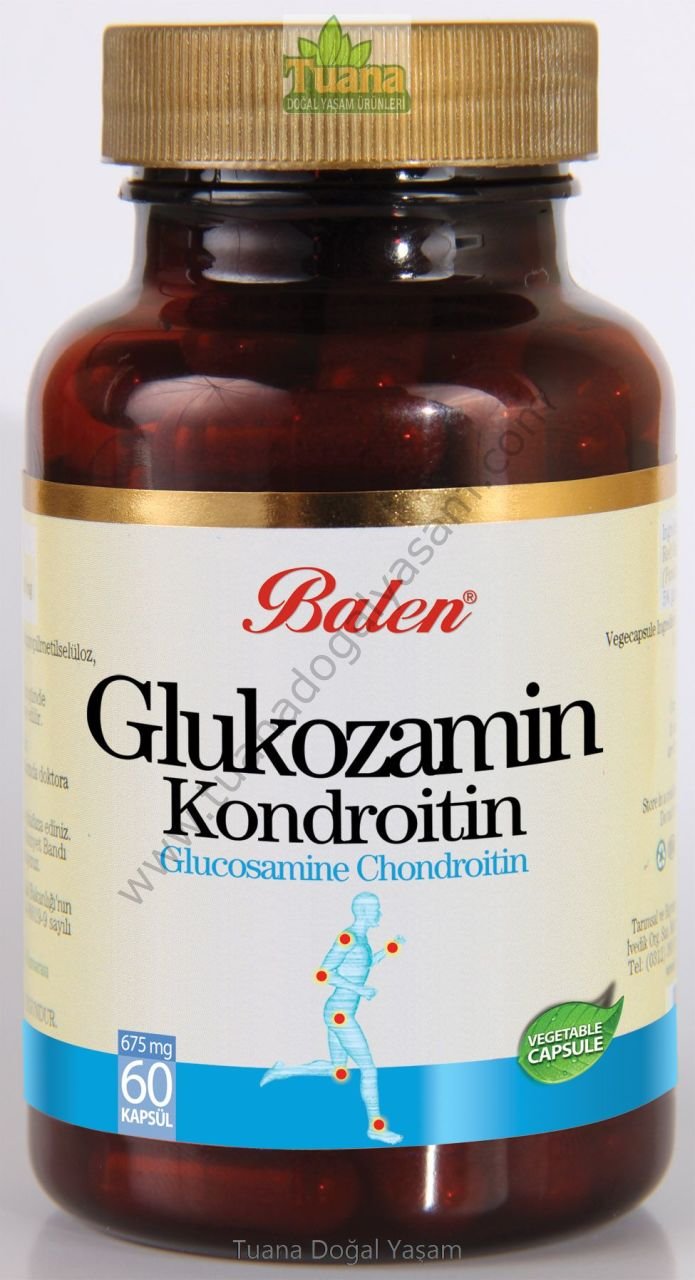 Glucosamine Chondroitin ve MSM  60 Tablet