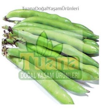 Bakla Tohumu - 50 Adet