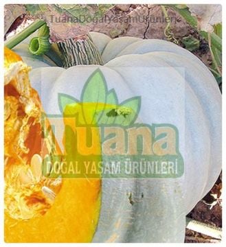Bal Kabağı Tohumu 50 adet