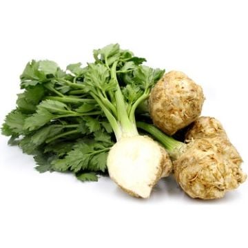 Kök Kereviz Tohumu 100 adet