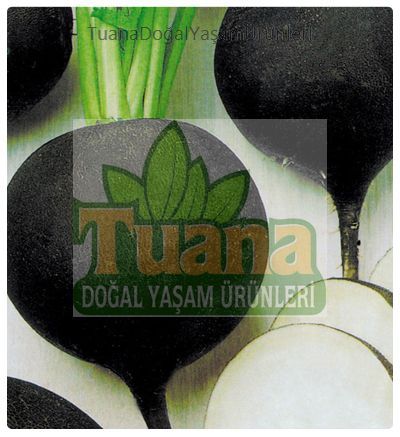 Siyah Turp Tohumu 100 adet