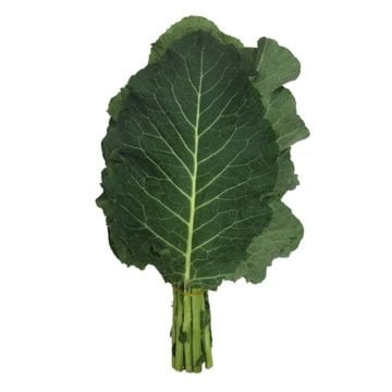 Kara Lahana Tohumu 100 Adet