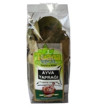 AYVA YAPRAĞI