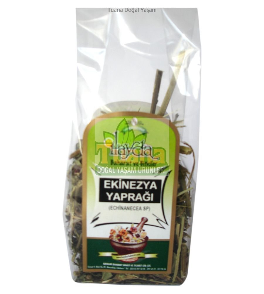 EKİNEZYA YAPRAĞI