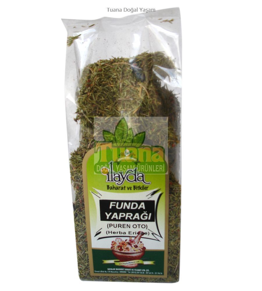 FUNDA YAPRAĞI