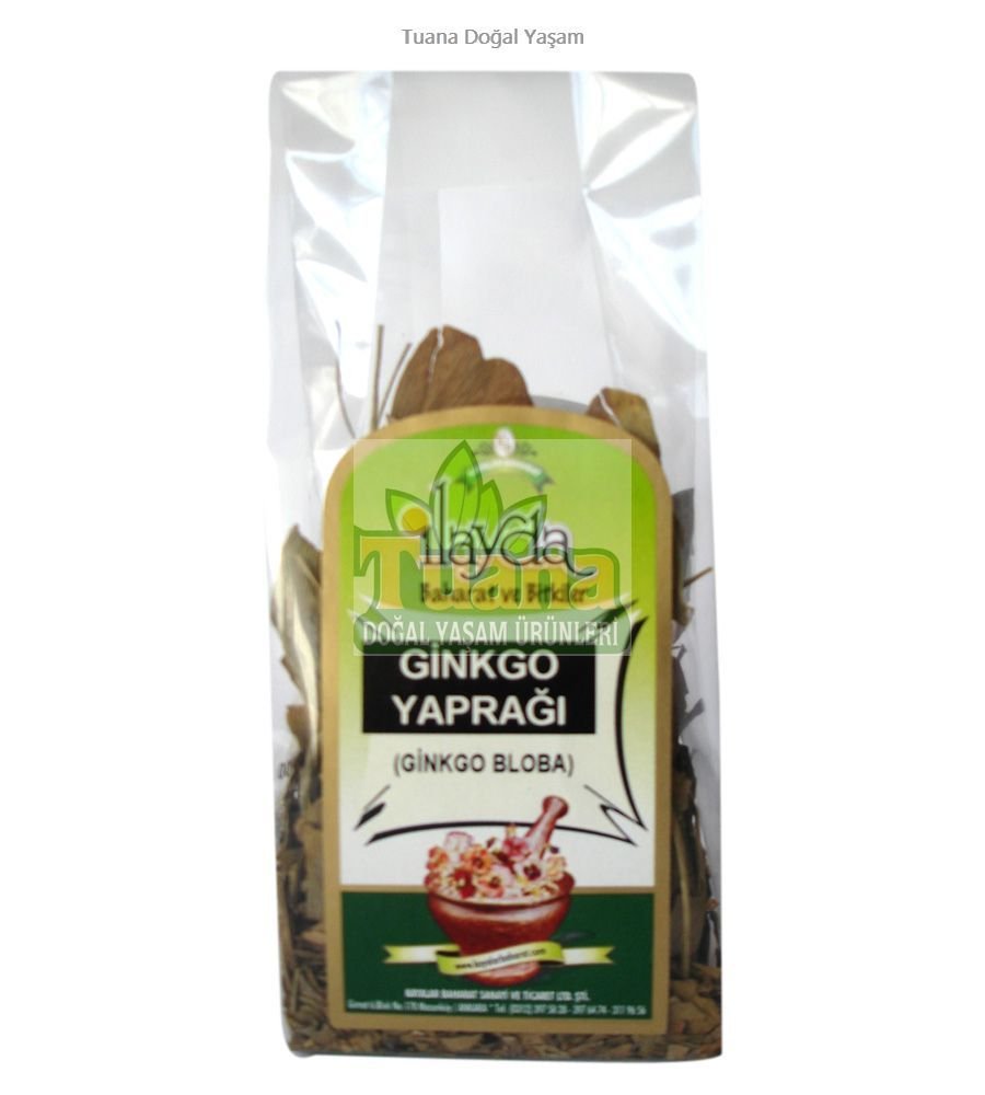 Ginkgo Biloba Yaprağı