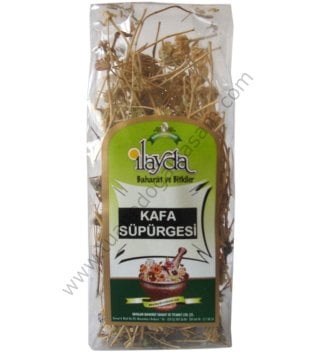 Kafa Süpürgesi Otu