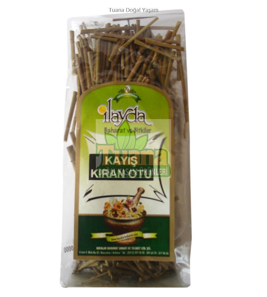 KAYIŞ KIRAN OTU