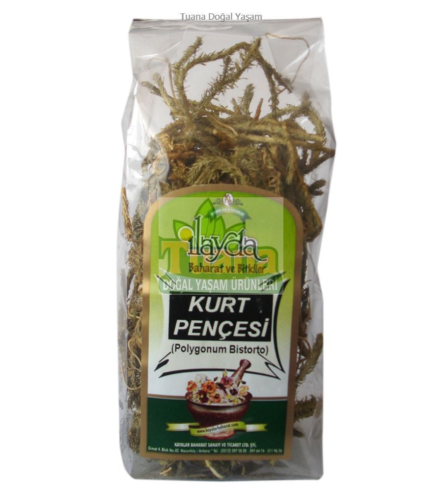 KURT PENÇESİ OTU