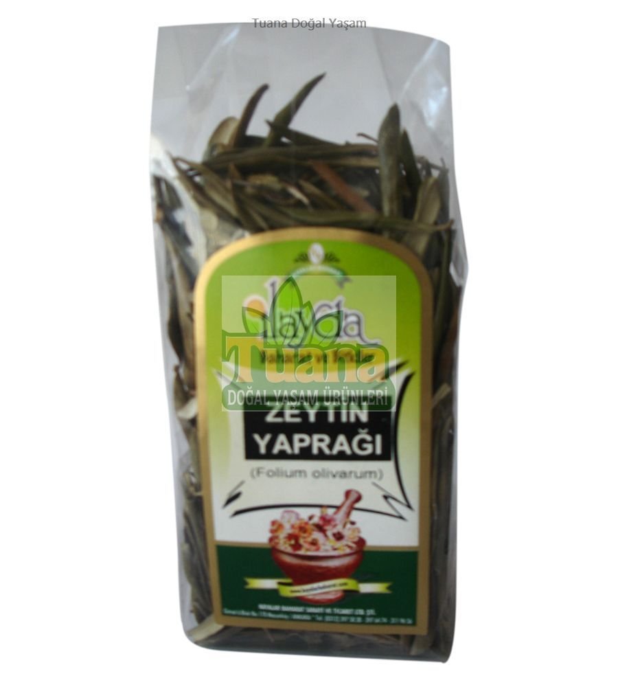 Zeytin Yaprağı