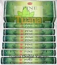 Tütsü Pine Çam