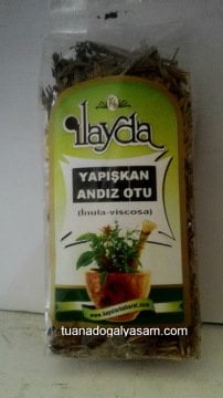 Yapışkan Andız Otu