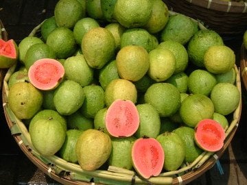 Guava Tohumu 10 Adet