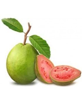 Guava Tohumu 10 Adet