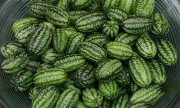 Mini Karpuz Tohumu (Cucamelon) 10 Adet