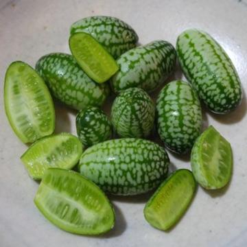 Mini Karpuz Tohumu (Cucamelon) 10 Adet