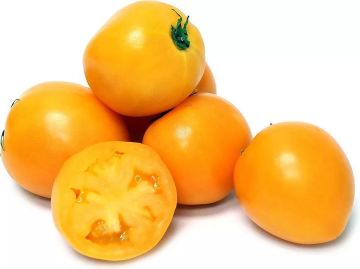 Sarı Çeri Domates Tohumu