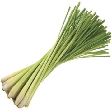 Lemongrass Tohumu ( Limon Otu Tohumu )
