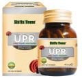 Shiffa Home UPR