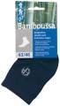BAMBOUSSA