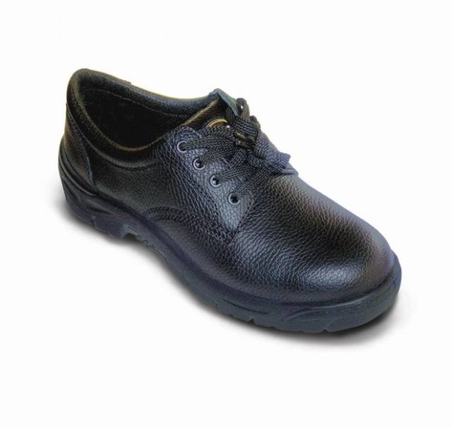 9100-01  S1P