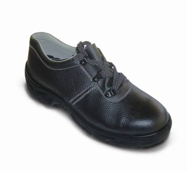 9101-31  S1