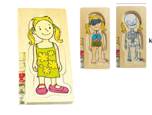 VÜCUDUMUZ PUZZLE (KIZ)