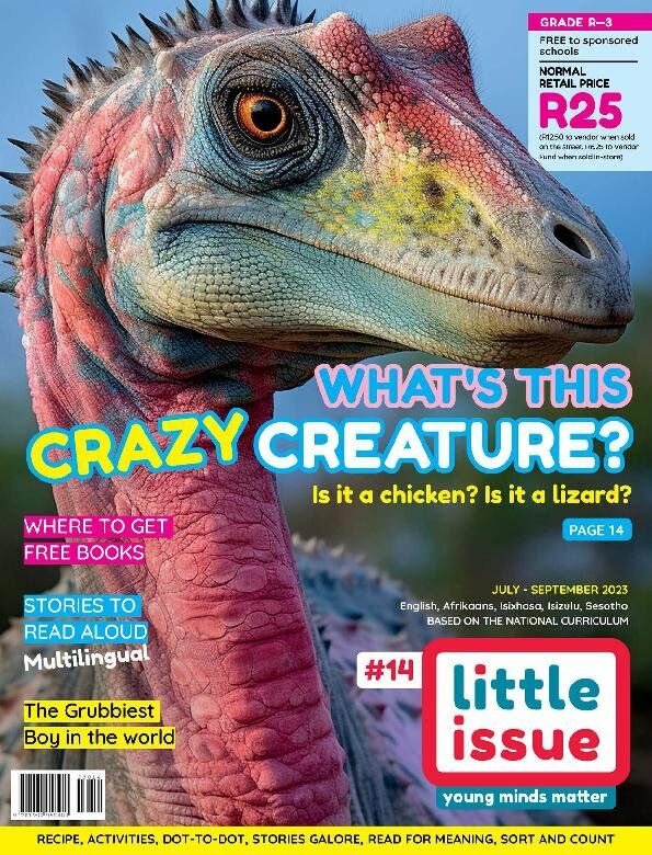 the-little-issue