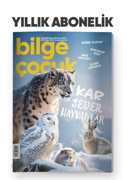 BİLGE ÇOCUK ABONELİK