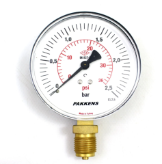 PAKKENS Ø160-2,5  BAR MANO.ALT.BAĞ.Cl.1,6-G1/2''B(IP65, Kuru Tip)