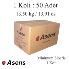 ASENS GAZ ALARM CİHAZI