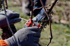 Bahco PX-M2  Ergo Budama Makası