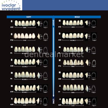 Sr Vivodent DCL 6 Lik Üst Anterior Diş