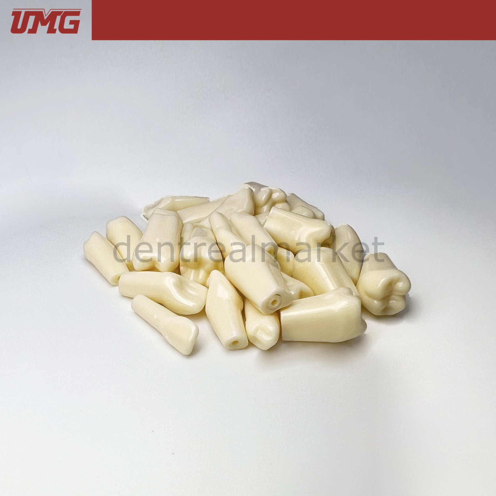 Düz Köklü Kalıcı Dişler - UM-C4