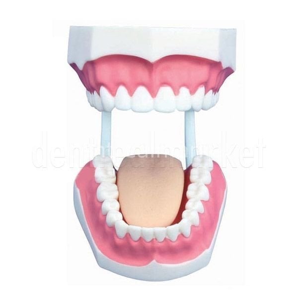 Dental Hasta Similatörü