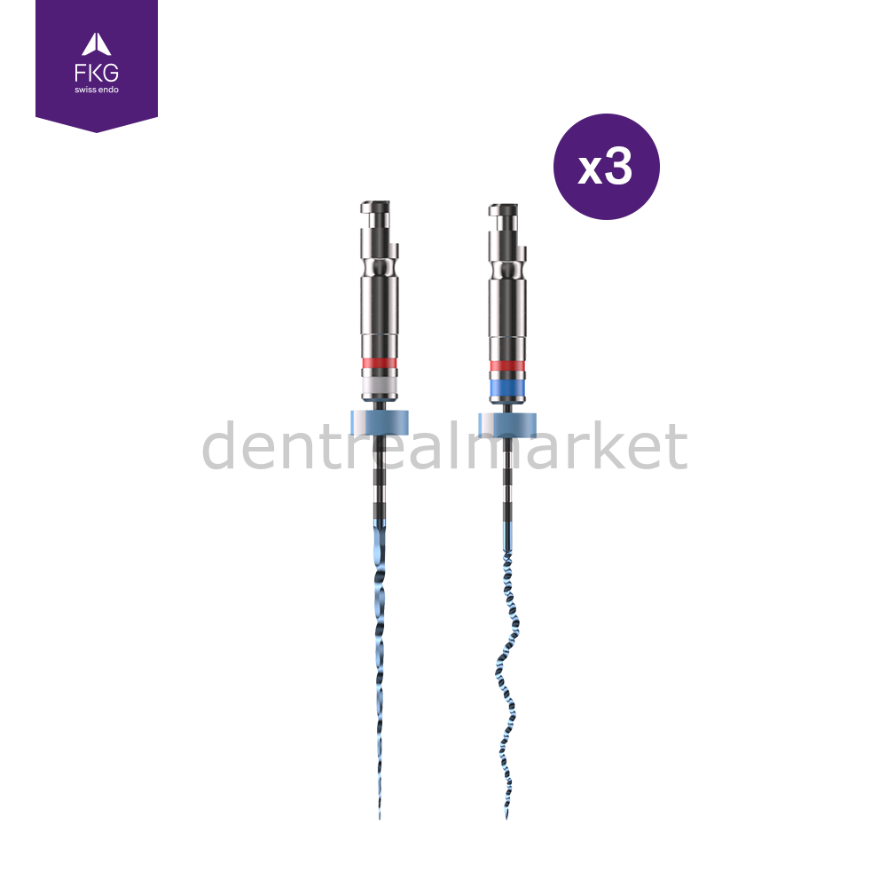 XP-Endo Rise Sequence Kanal Egesi