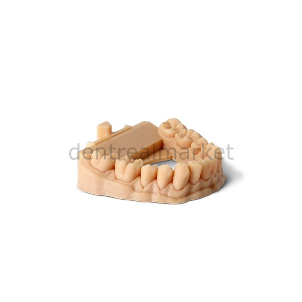 3D Yazıcı Reçine - Suda Yıkanabilir Dental Model Reçinesi 1kg 5+1 Kampanya ***