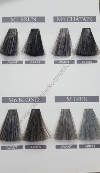 Carmen ton sur ton men m6 m2 mgris 60 ml