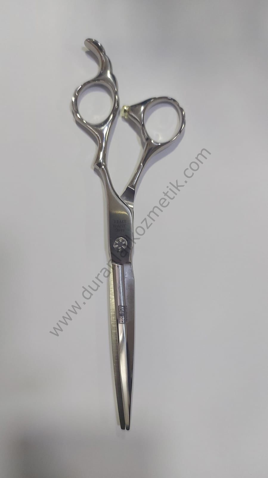 08437.jpg?revision=1697143329