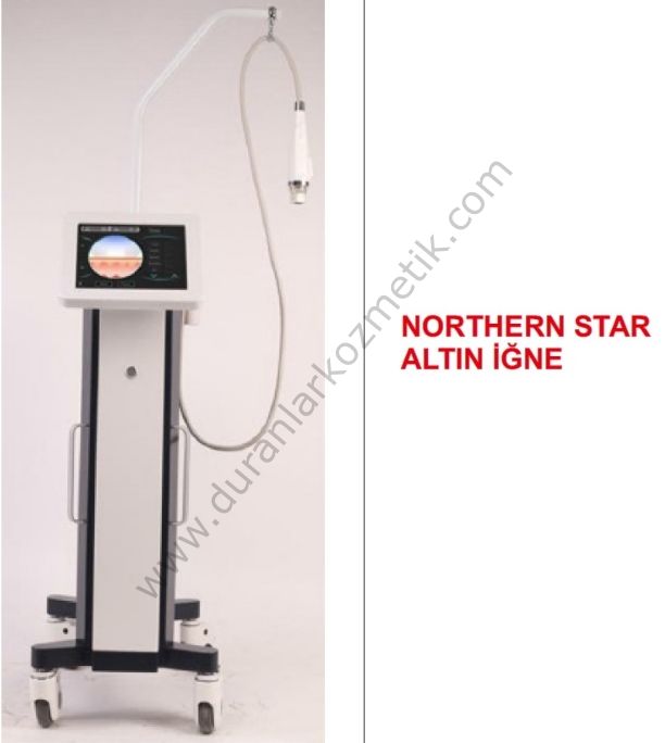 NORTHERN STAR ALTIN İĞNE