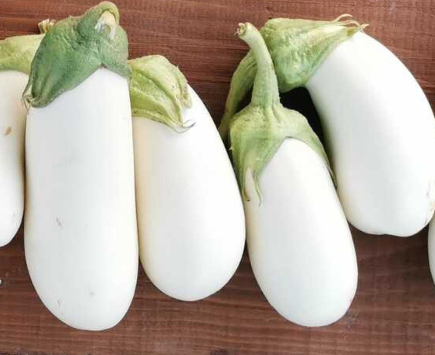 Casper beyaz patlıcan fidesi