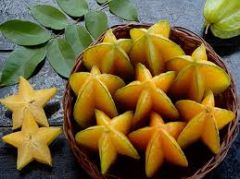 Kod:stf01 Aşılı star fruit (2-3 yıl içerisinde meyve alınabilir)