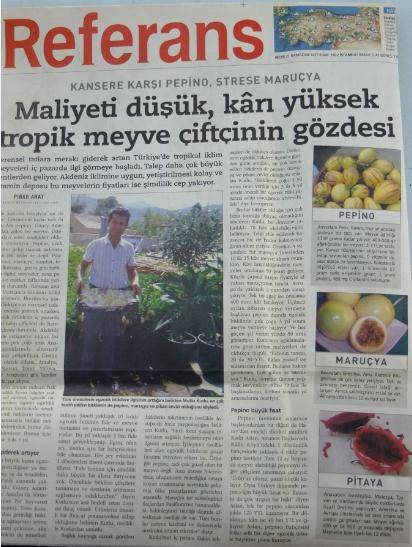 gazete1