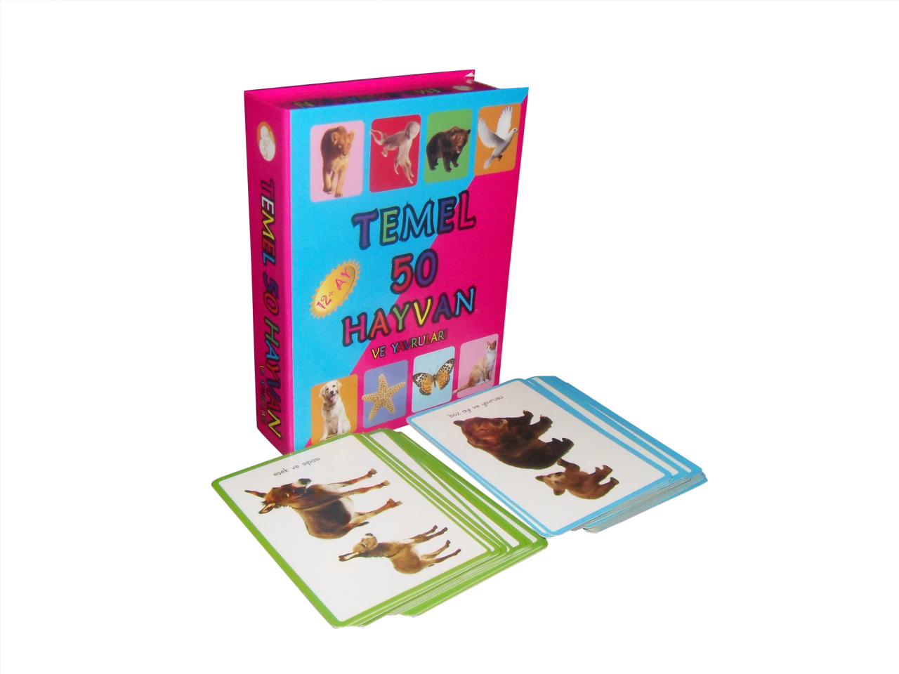 Temel 50 Hayvan ve Yavruları
