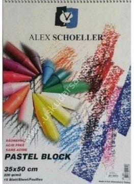 Alex Schoeller Fon Kartonu Pastel Block 15 YP 35X50 220 GR Spiralli